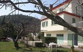 Branka Apartments
